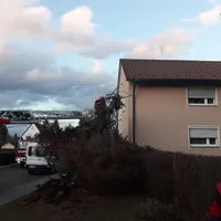 bild6.jpg