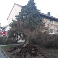 bild1.jpg