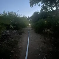 299186582_2411603989008542_1821020054354897029_n.jpg