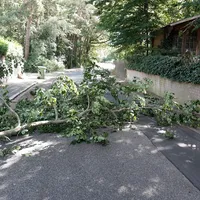 img_20220628_100002.jpg