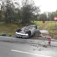 bild2.jpg