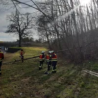 bild3.jpg