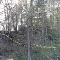 20190425_180334.jpg