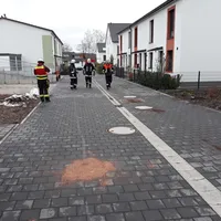 bild3.jpg