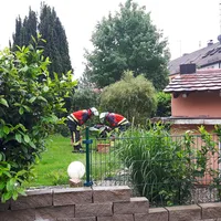 20180524_144040.jpg