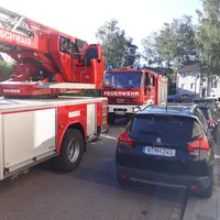 bild1.jpg