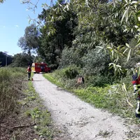20190811_112038.jpg