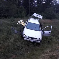 bild3.jpg