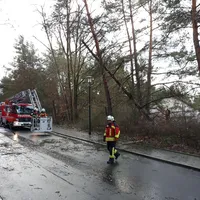 bild1.jpg