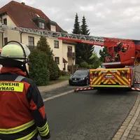bild1.jpg