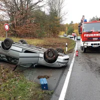 bild1.jpg