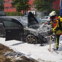 bild3.jpg