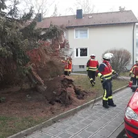 bild2.jpg