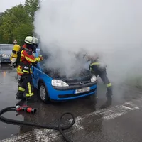 bild1.jpg