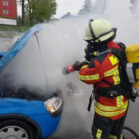 bild2.jpg