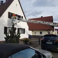 bild2.jpg