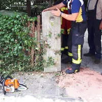 20180604_120933.jpg