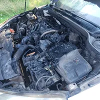 20250809_172704.jpg