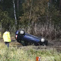 50.jpg